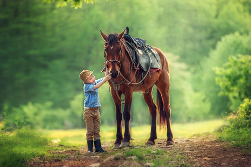 Красивые стихи про лошадку для детей