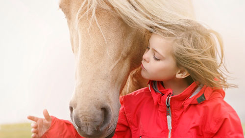 Стихи про лошадку для детей 5-7 лет