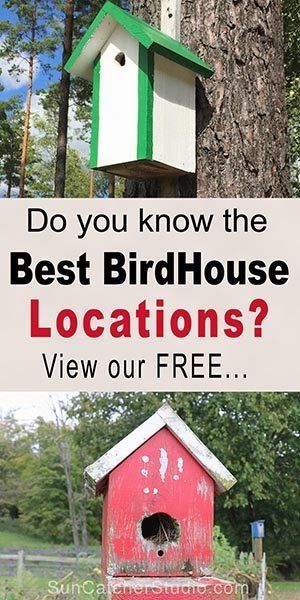 How to hang a birdhouse - including tips on placement, suitable nesting locations, and mounting a bird house.